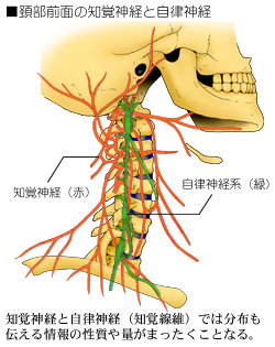 �z���̐_�o�̑��s