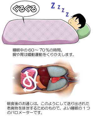 ���̂悢�����Ə����ǂ̉^��