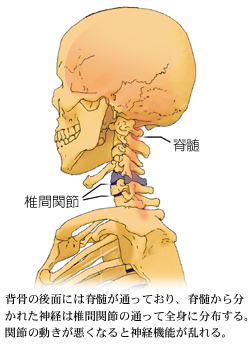 �Ґ��ƒŊԊ֐�