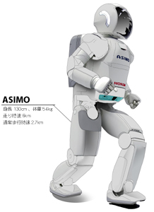 �{�c�Z���H�ƃA�V��