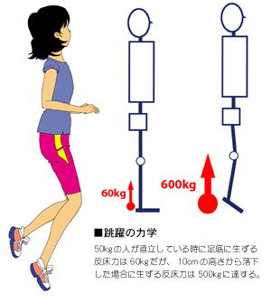 ����̃o�C�I���J�j�N�X