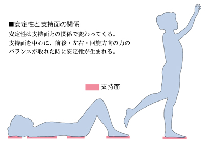 �p���ɂ�����x���ʂƈ��萫�̊֌W