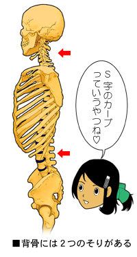 �Ғ��̂r����]��