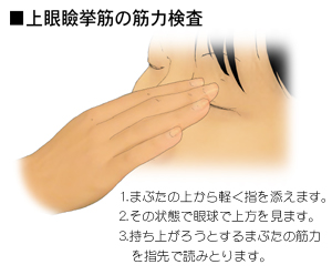 ����ً��؂̋ؗ͌���