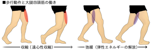 ���s����Ƒ�ڎl����