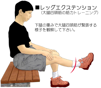 ���b�O�G�N�X�e���V����