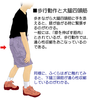 ���s����ƃG�L�Z���g���b�N���k