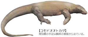 �R���h�I�I�g�J�Q