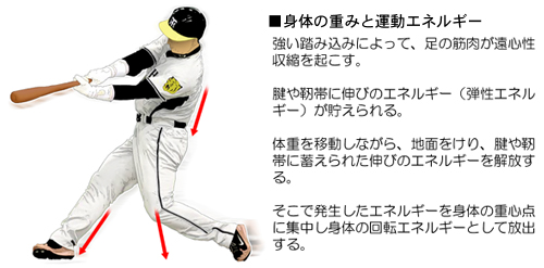 ���{�I��̃o�b�e�B���O�t�H�[��