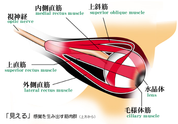 �ዅ�^�����R���g���[������ؓ��Q