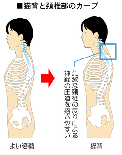 �L�w�ƌz�ł̃J�[�u�̊֌W