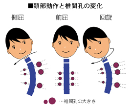 �z�̑���ƒŊԍE�̊֌W