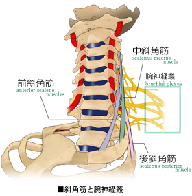 �Ίp�؂̌o�H�Ƙr�_�o�p