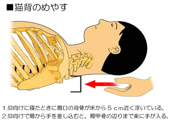 �L�w�̊ӕ�02