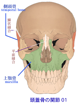 ���W�������ƑO���D��