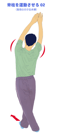 �ᐸ��J�Ɍ��ʓI�Ȕw���̃X�g���b�`