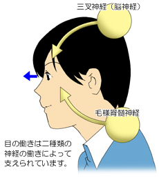 �ڂ̖їl�̂��R���g���[������_�o�̃C���[�W