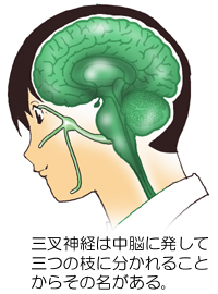 �O���_�o�̃C���[�W