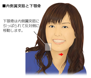 �{�̂䂪�݂Ɠ������ˋ؂̊֌W