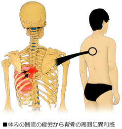 �����_�o�ْ̋��̐Ґ��_�o�ْ̋�