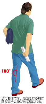 ���s���̕G�֐߂̐L�W