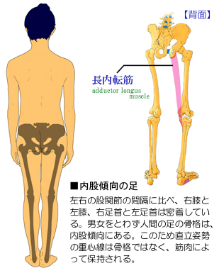 �����̍��i�\���Əd�S��