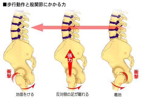 ���s����ƌҊ֐߂ɂ����镉�S