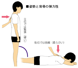 �����p���Ɣw���̒e�͐�