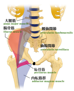 ���ՂƑ単�؁E������