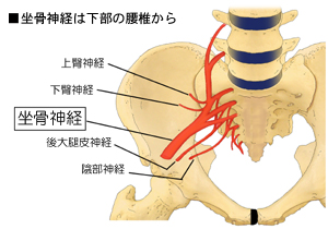 ���łƍ����_�o