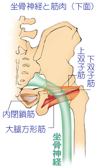 �����_�o���\���̋ؓ��̊֌W01