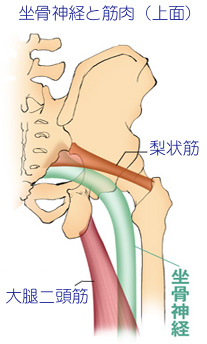 �����_�o���\���̋ؓ��̊֌W02