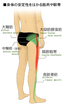 ���Ղ̈�����͂���؁E�x�ьQ