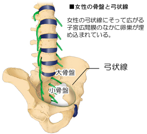 �����̍��ՂƋ|���