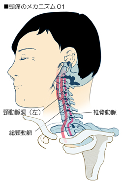 ���ɂɊ֌W����z���̌��ǂ̑��s